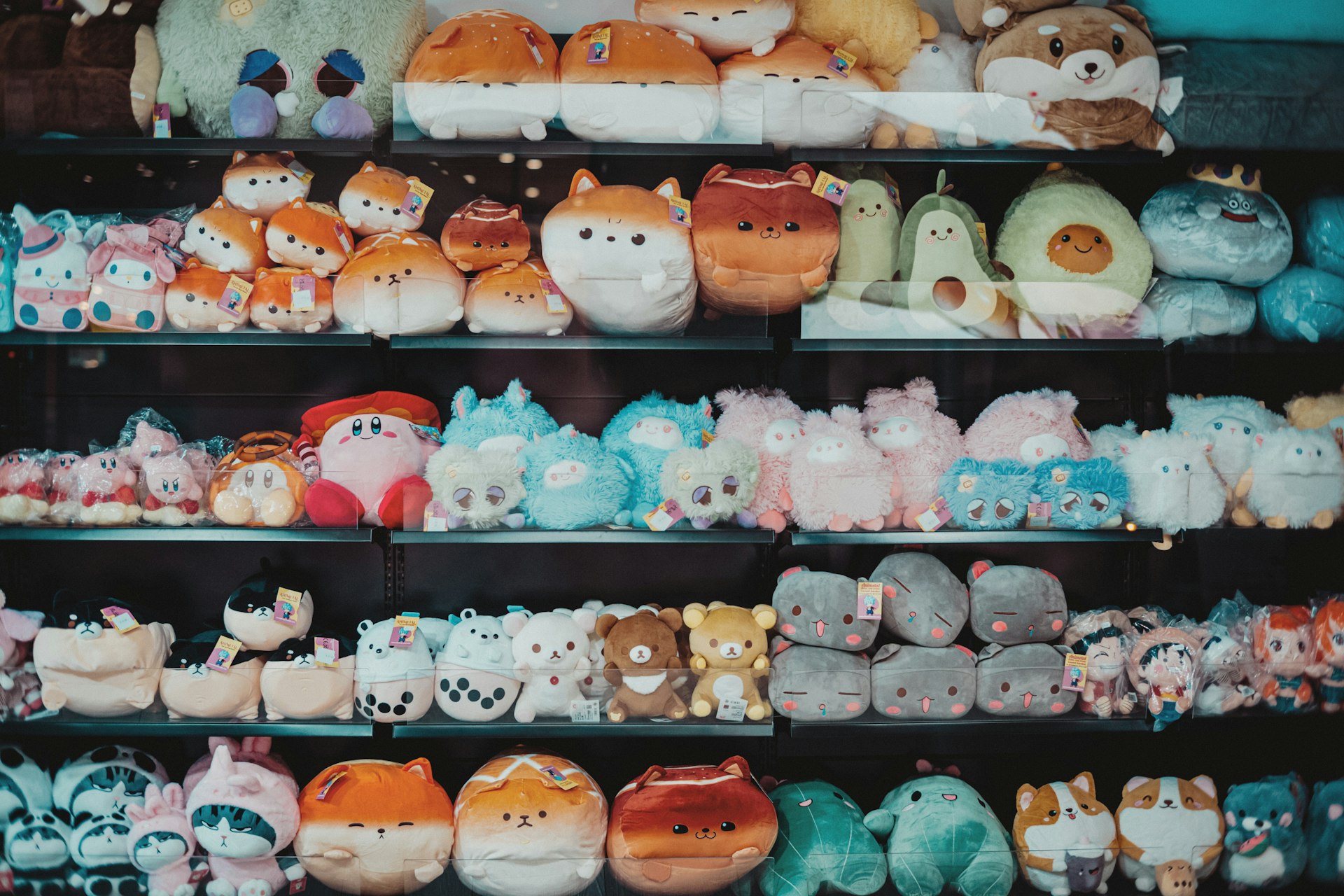 Shelves are filled with adorable plush toys.